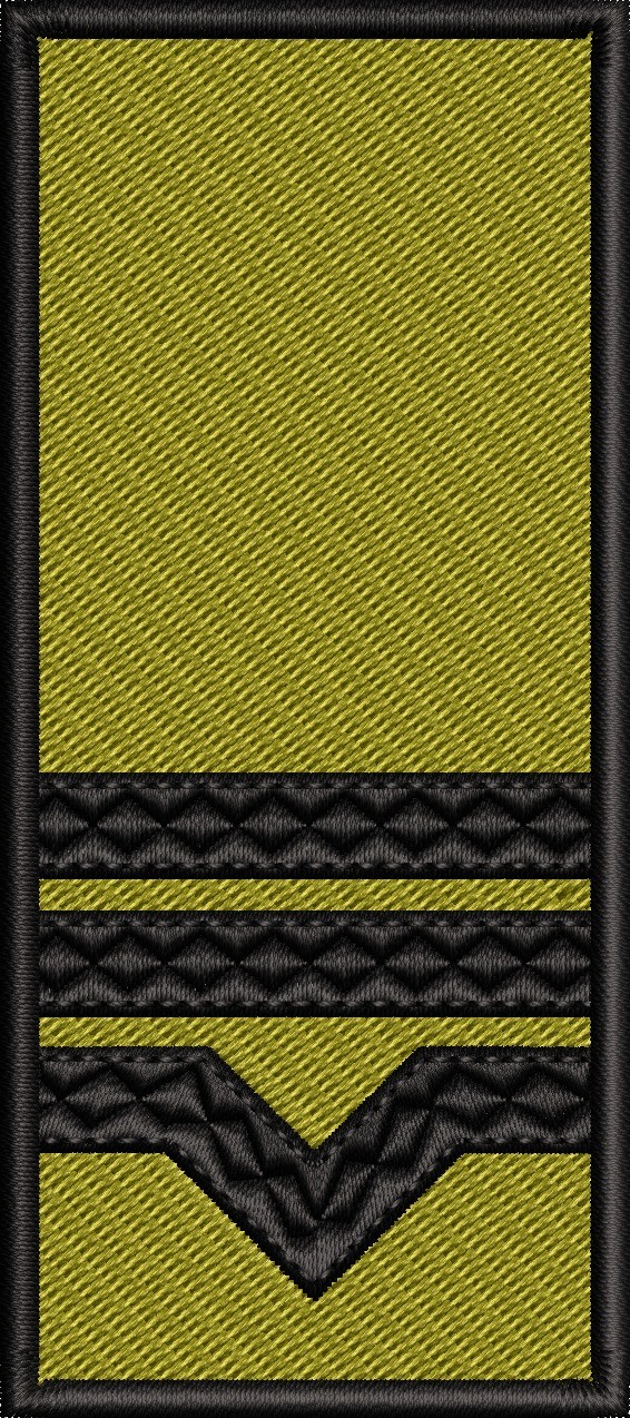 GRADE MAISTRU MILITAR CLASA III / PATCH CU SCAI